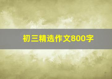 初三精选作文800字