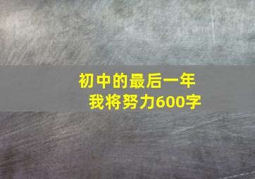 初中的最后一年我将努力600字