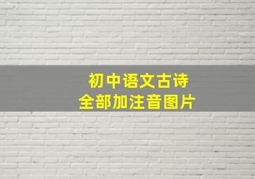 初中语文古诗全部加注音图片