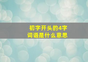 初字开头的4字词语是什么意思