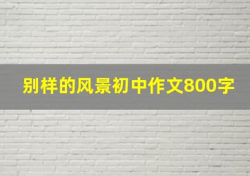 别样的风景初中作文800字