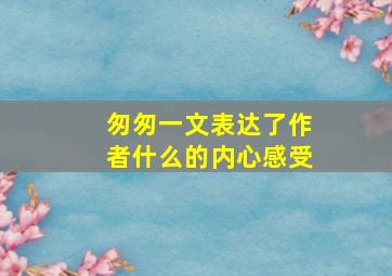 匆匆一文表达了作者什么的内心感受