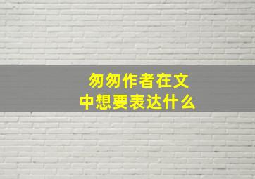 匆匆作者在文中想要表达什么