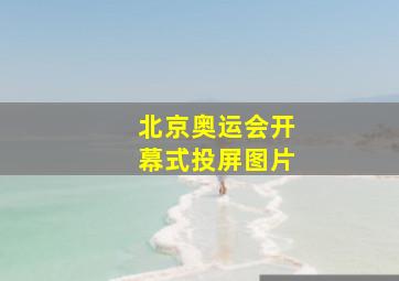 北京奥运会开幕式投屏图片