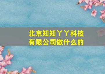 北京知知丫丫科技有限公司做什么的