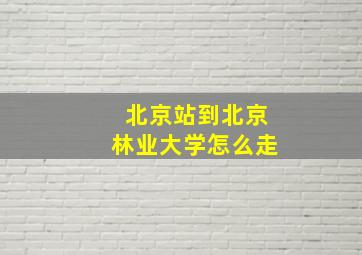 北京站到北京林业大学怎么走