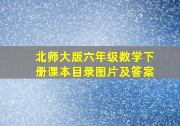 北师大版六年级数学下册课本目录图片及答案