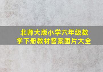 北师大版小学六年级数学下册教材答案图片大全