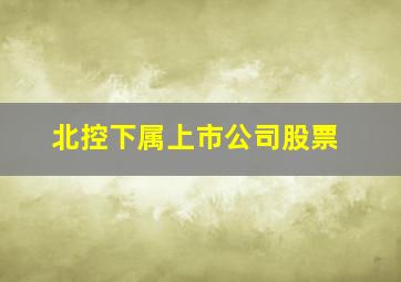 北控下属上市公司股票