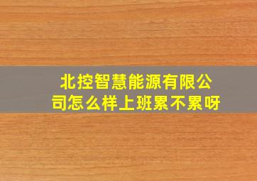 北控智慧能源有限公司怎么样上班累不累呀