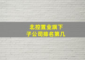 北控置业旗下子公司排名第几