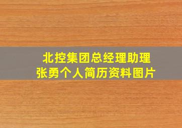 北控集团总经理助理张勇个人简历资料图片