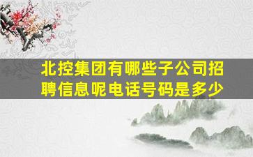 北控集团有哪些子公司招聘信息呢电话号码是多少