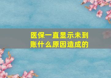 医保一直显示未到账什么原因造成的