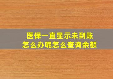 医保一直显示未到账怎么办呢怎么查询余额