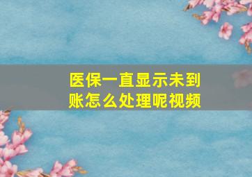 医保一直显示未到账怎么处理呢视频