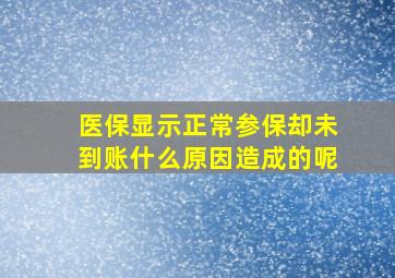 医保显示正常参保却未到账什么原因造成的呢