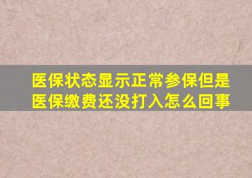 医保状态显示正常参保但是医保缴费还没打入怎么回事