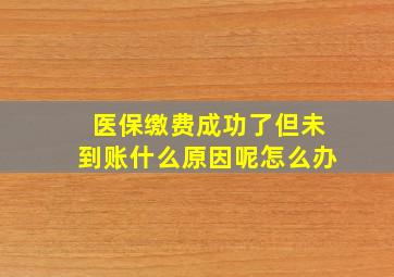 医保缴费成功了但未到账什么原因呢怎么办