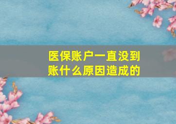 医保账户一直没到账什么原因造成的