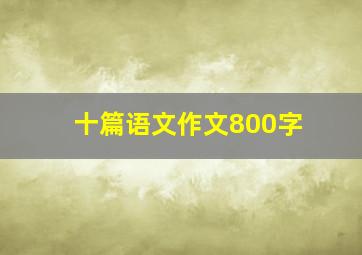 十篇语文作文800字