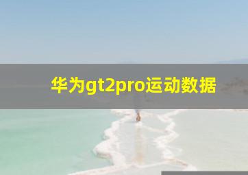 华为gt2pro运动数据