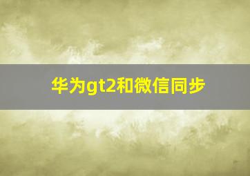 华为gt2和微信同步