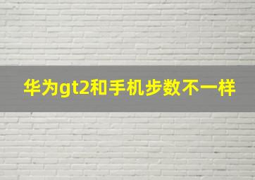 华为gt2和手机步数不一样