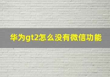 华为gt2怎么没有微信功能