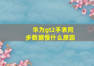 华为gt2手表同步数据慢什么原因