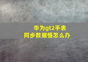 华为gt2手表同步数据慢怎么办