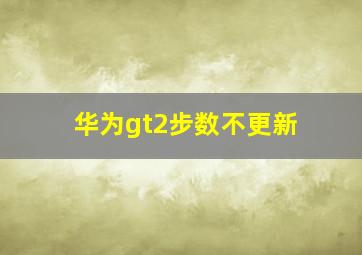 华为gt2步数不更新