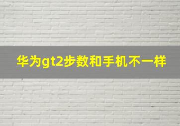 华为gt2步数和手机不一样