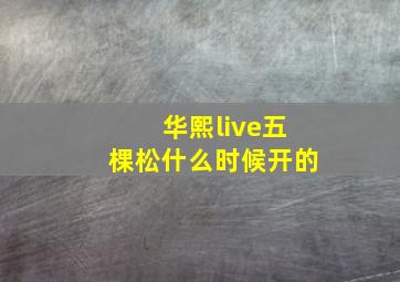 华熙live五棵松什么时候开的