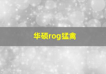 华硕rog猛禽