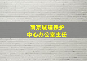 南京城墙保护中心办公室主任