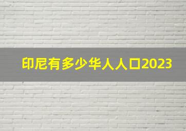 印尼有多少华人人口2023