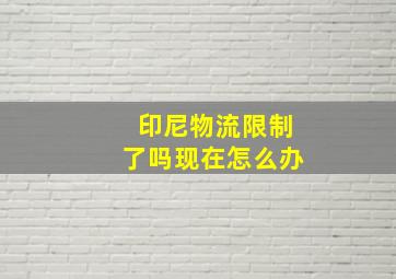 印尼物流限制了吗现在怎么办