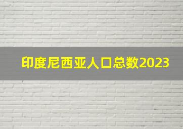 印度尼西亚人口总数2023