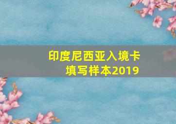 印度尼西亚入境卡填写样本2019