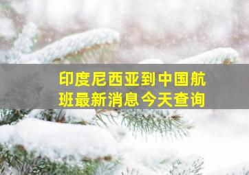 印度尼西亚到中国航班最新消息今天查询