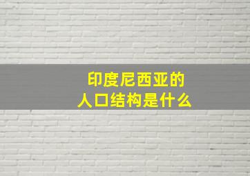 印度尼西亚的人口结构是什么