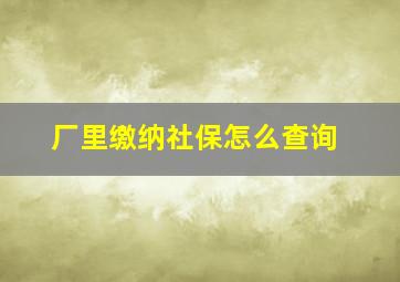 厂里缴纳社保怎么查询