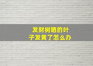 发财树晒的叶子发黄了怎么办