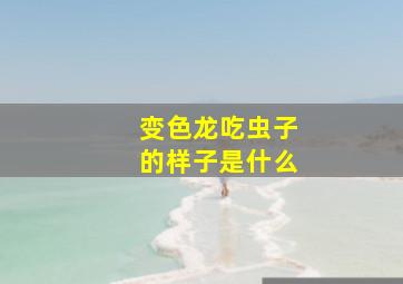 变色龙吃虫子的样子是什么