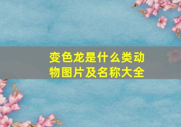 变色龙是什么类动物图片及名称大全