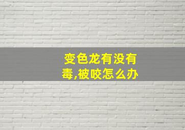 变色龙有没有毒,被咬怎么办