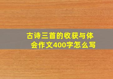 古诗三首的收获与体会作文400字怎么写