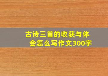 古诗三首的收获与体会怎么写作文300字