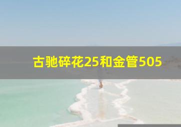 古驰碎花25和金管505